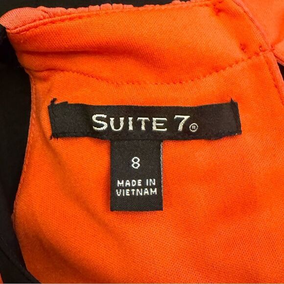 Suite 7 Pink, Tan, and Black Dress size 8 - Picture 3 of 5